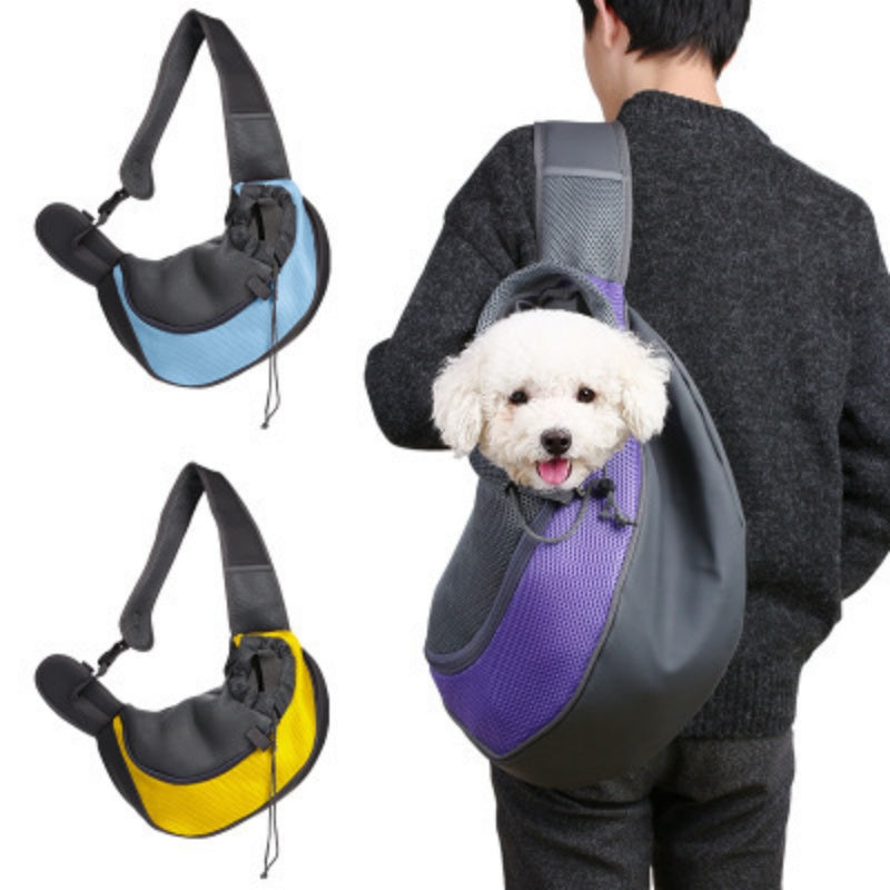 Dachshund Travel Essentials