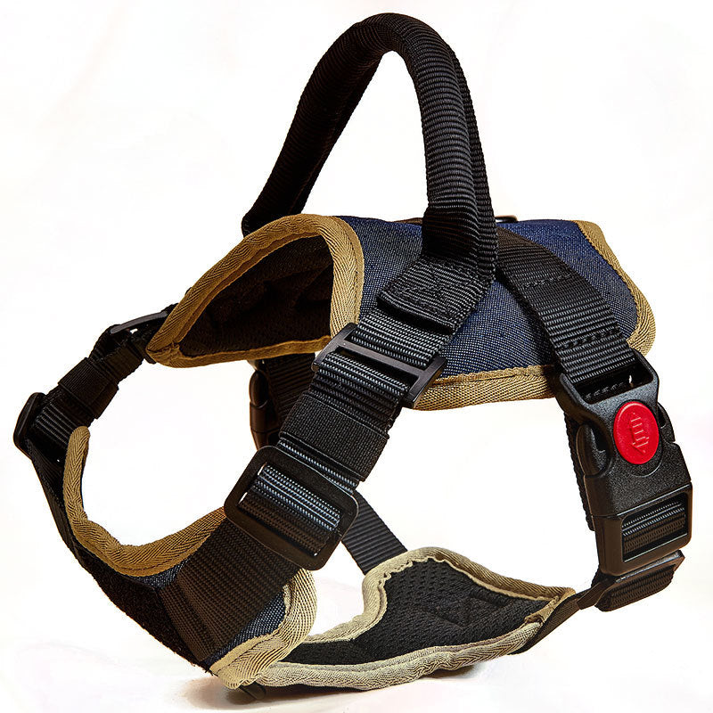 Dachshund Walking & Harnesses