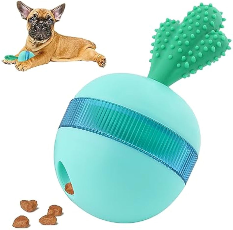 Dachshund Toys & Lifestyle